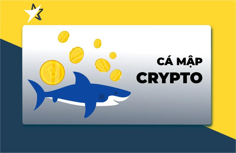 Cá mập Crypto