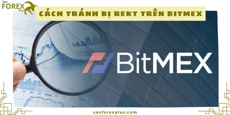 Cách tránh bị REKT trên BitMEX