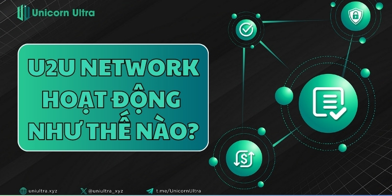 U2U Network hoạt động như thế nào?