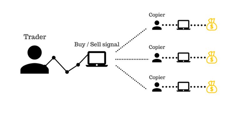 Cách chọn người Copy Trade tốt nhất