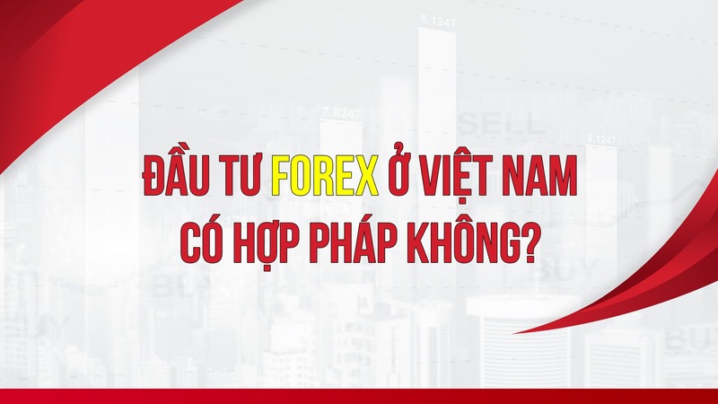 đầu tư forex có hợp pháp không 