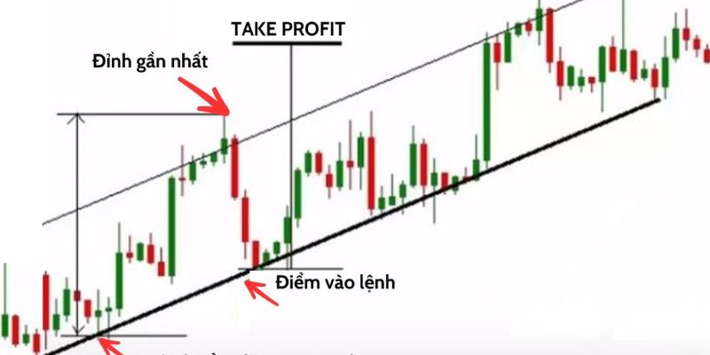 Stop Loss và Take Profit là gì