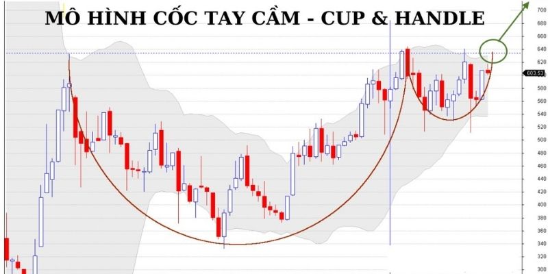 cốc và tay cầm