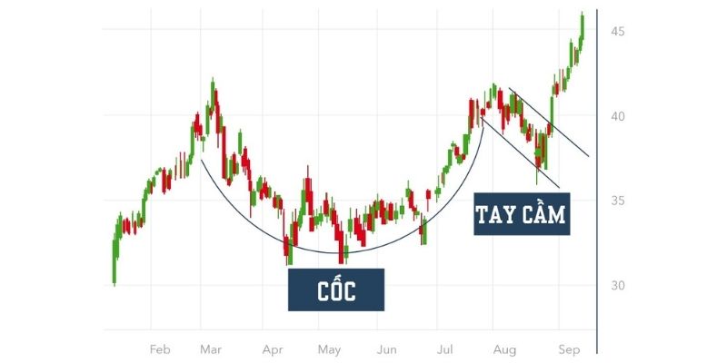 cốc và tay cầm