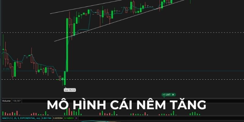 mô hình nêm